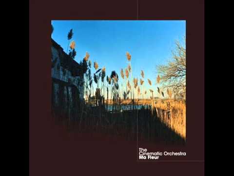 Torrent The Cinematic Orchestra To Build A Home